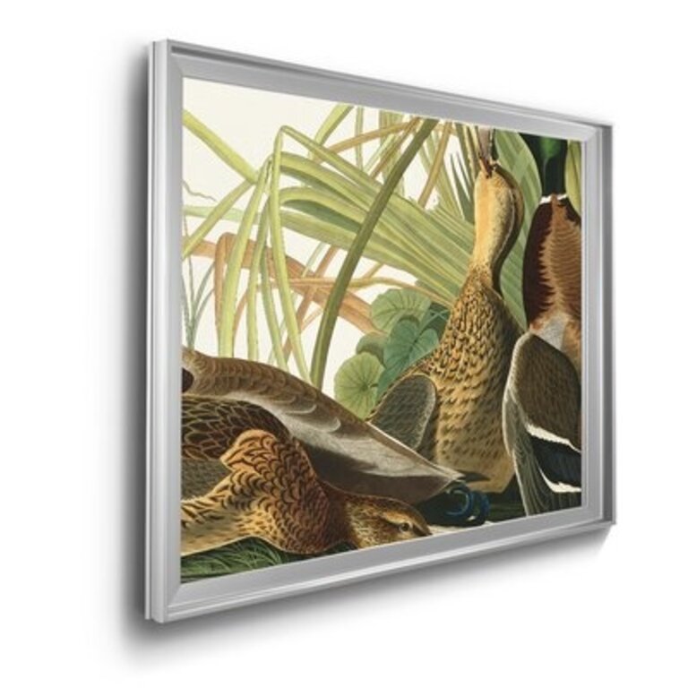 Mallard Duck - Picture Frame Print on Canvas Frame Color: Silver, Size: 26.5" H x 36.5" W x 1" D
