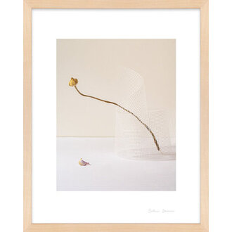 Balance 2 by Svetlana Smirnova - Picture Frame Photograph Format: Maple