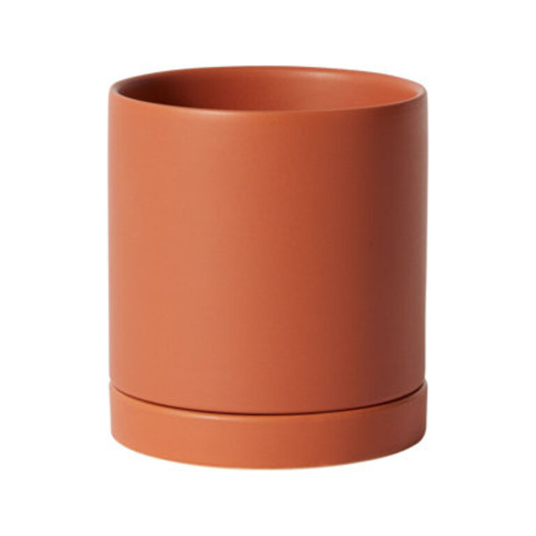 Carlotta Ceramic Pot Planter Color: Terracotta, Size: 5.75" H x 5" W x 5" D