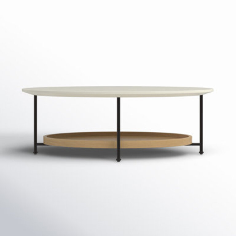Alasteir 4 Legs Coffee Table with Storage