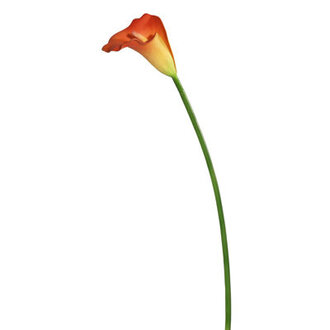 Artificial Calla Lily Stem Size: 28" H x 5" W x 5" D, Flower Color: Orange/Yellow