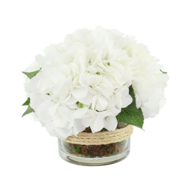 Hydrangea in Glass vase with Moss Flowers/Leaves Color: White