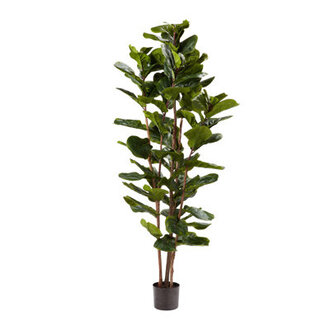 Artificial Fiddle Leaf Fig Tree - 6FT Fake Plant with Pot and Natural Feel Leaves for Home or Office Decor - Artificial Plants Indoor