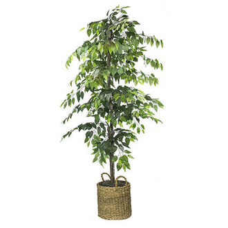 72" Artificial Ficus Tree in Basket