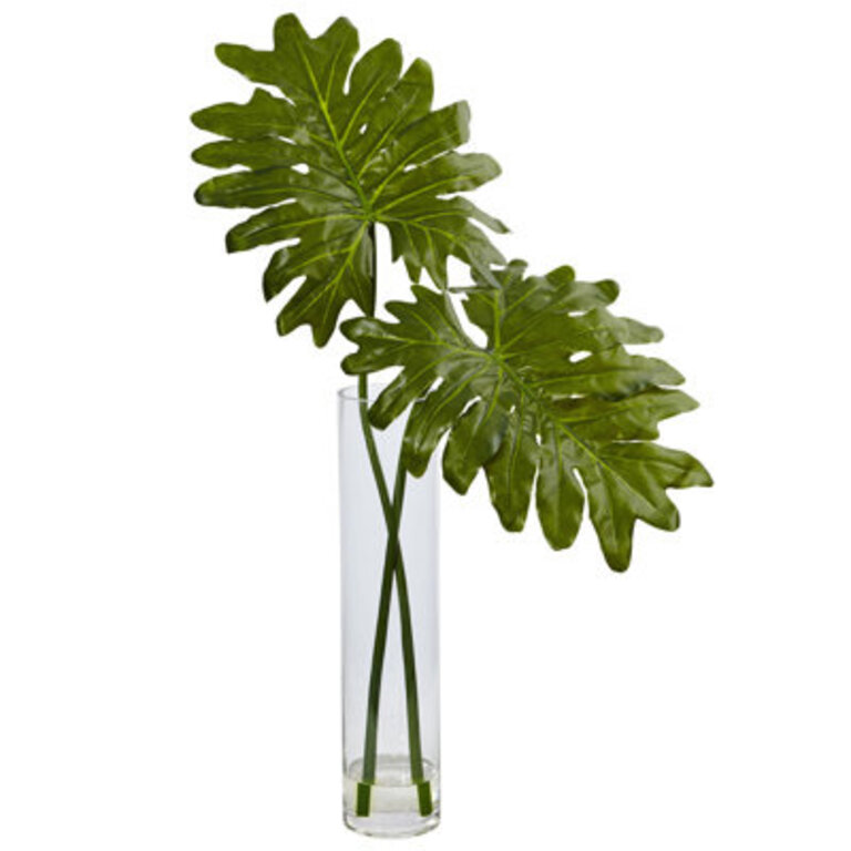 11.5" Selloum Foliage Plant in Decorative Vase
