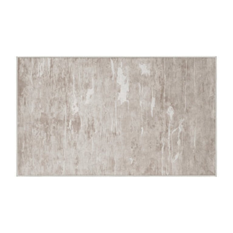 Silky Soft Plush Beige Area Rug Rug Size: Rectangle 3' x 5'