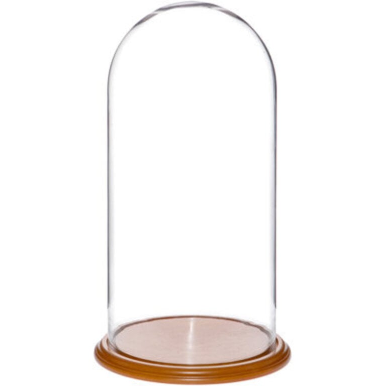 Vucciria Display Dome Cloche Color: Oak Veneer Base