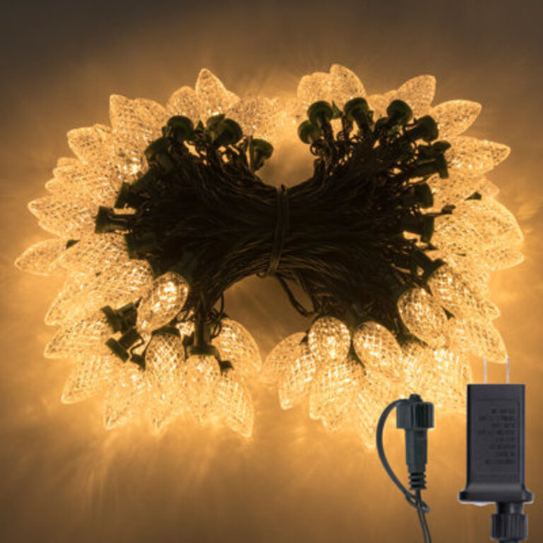 100 LED 81 FT C9 Christmas String Lights Color: Warm White, Size: 81' L