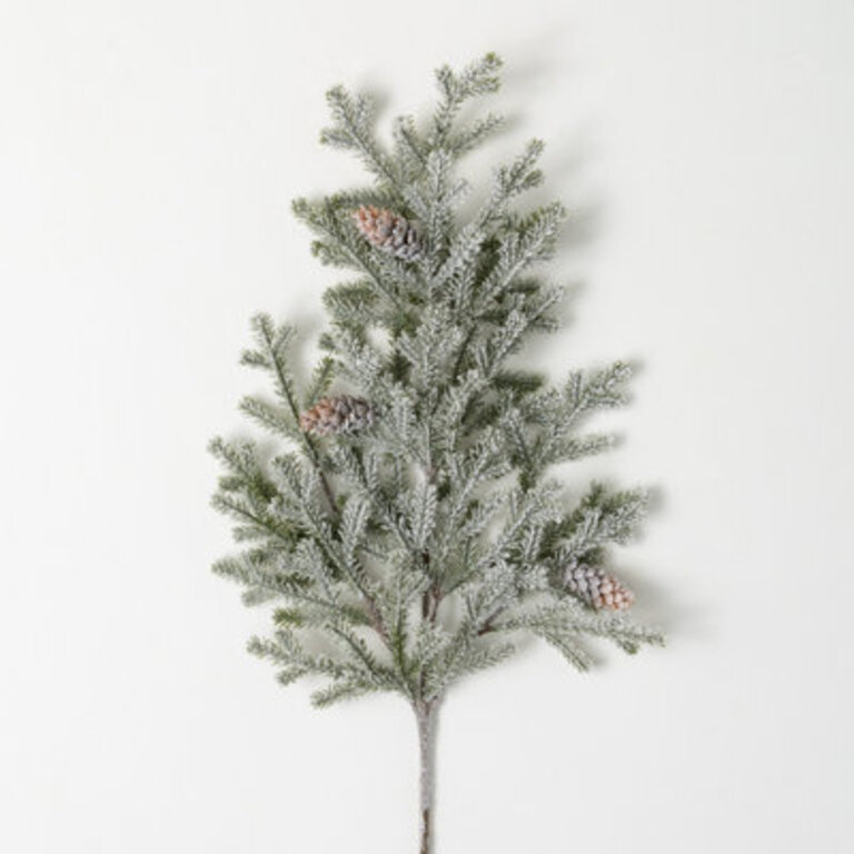 Pine Spray