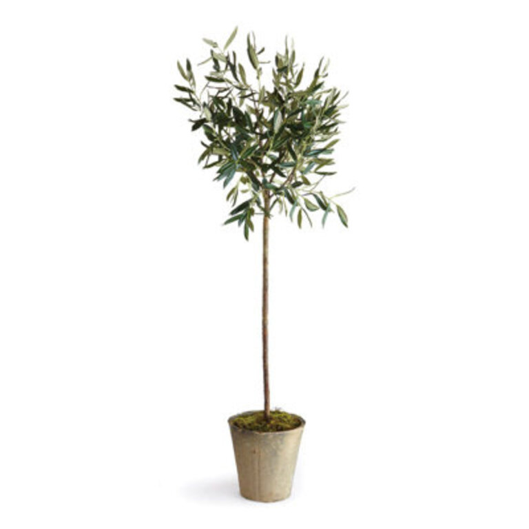 Faux Olive Tree Tree in Ceramic Pot