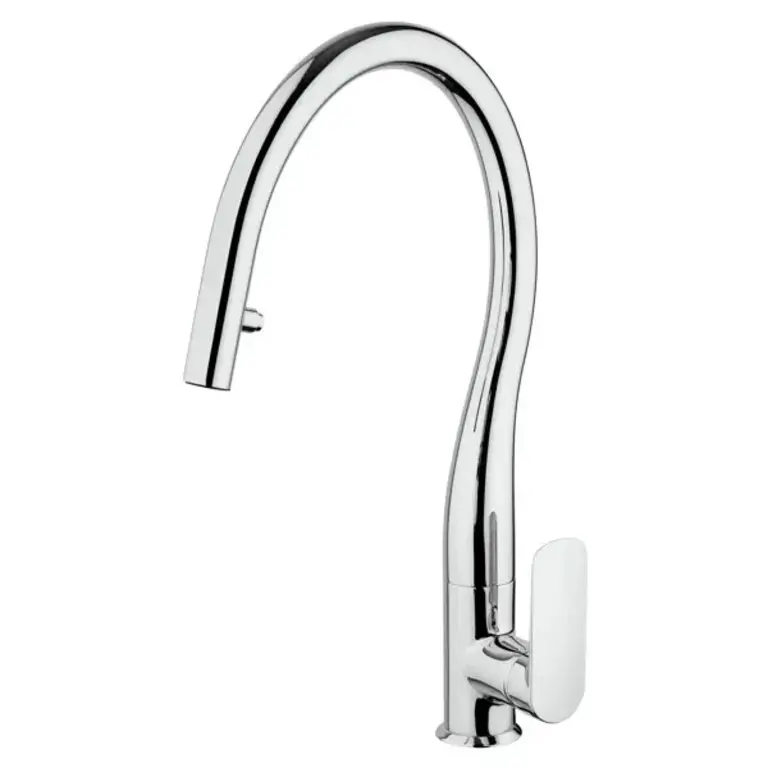 Swan Pull Down Single Handle Kitchen Faucet