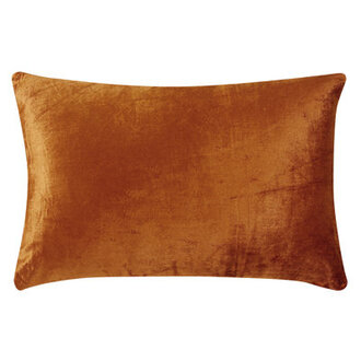 Velvet Throw Pillow