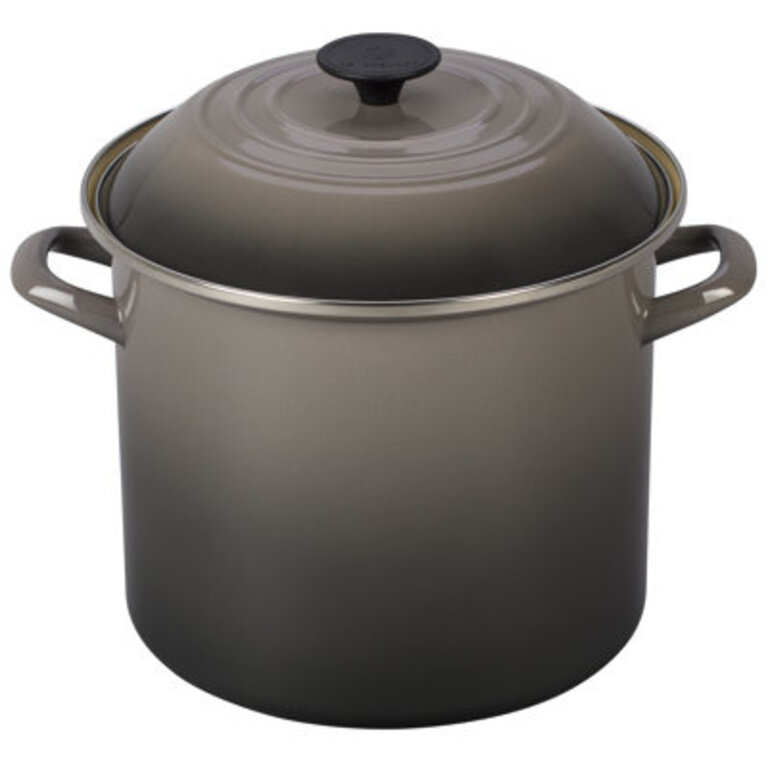 Le Creuset Enamel on Steel Stockpot with Lid