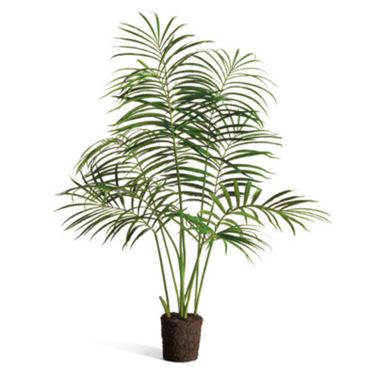 LeeRoy Tree Drop-in Palm Plant