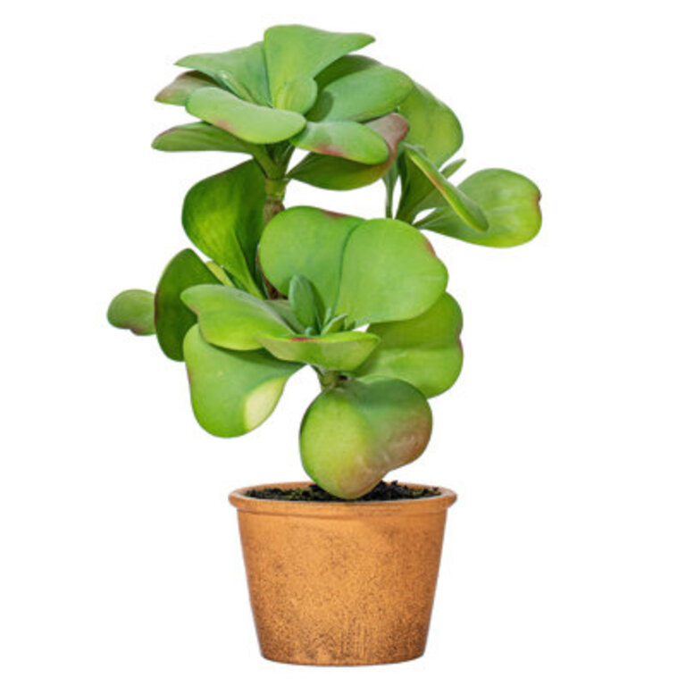 Artificial Succulent in Pot