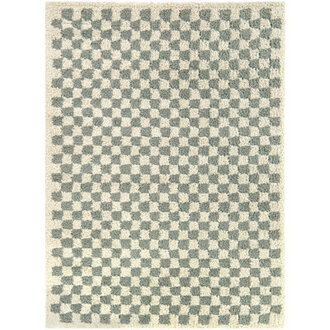 Walker Checkered SageCream Shag Area Rug