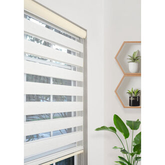 Ahyaan Sheer Roller Shade