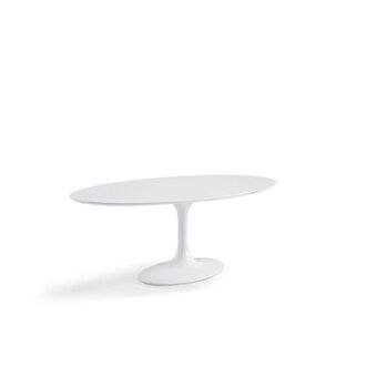 Cheatham Courtemanche Lippa White Oval Dining Table