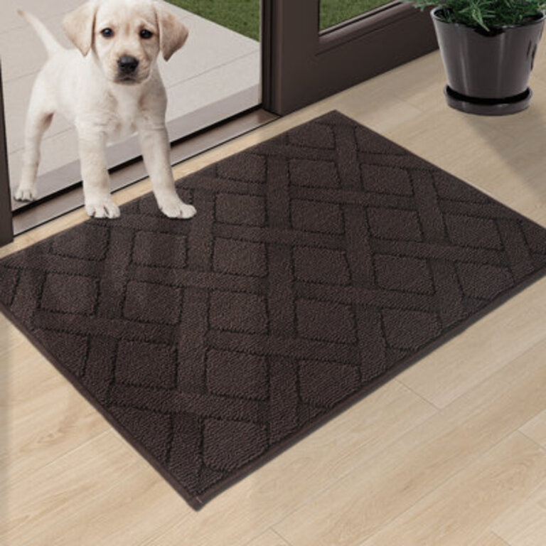 Dioselina Non-Slip Indoor Doormat