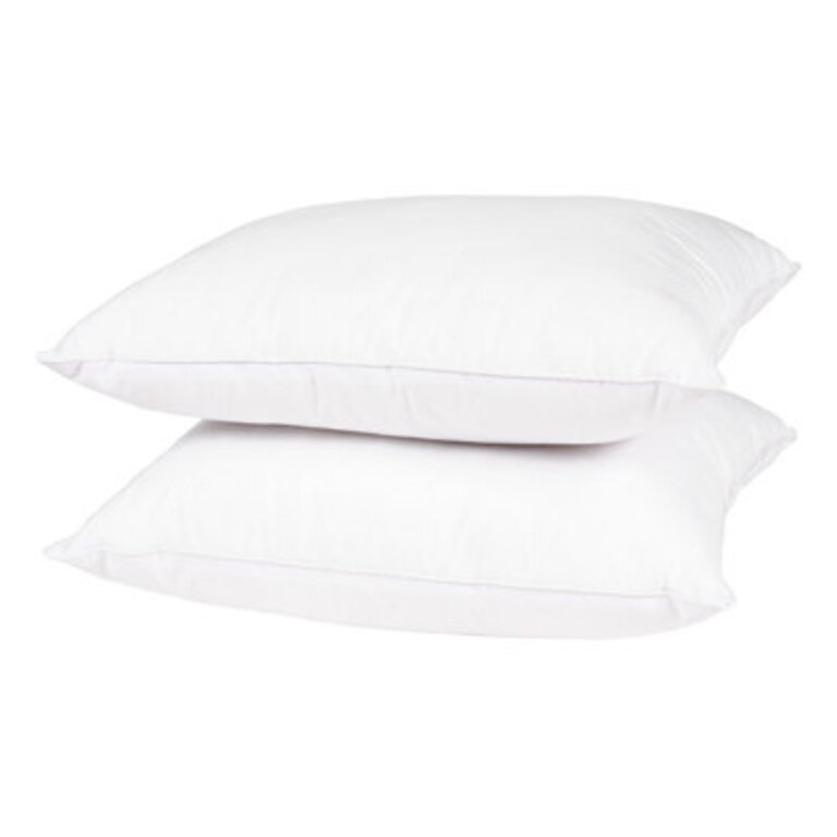 Wayfair Basics Didomenico Pillow Insert