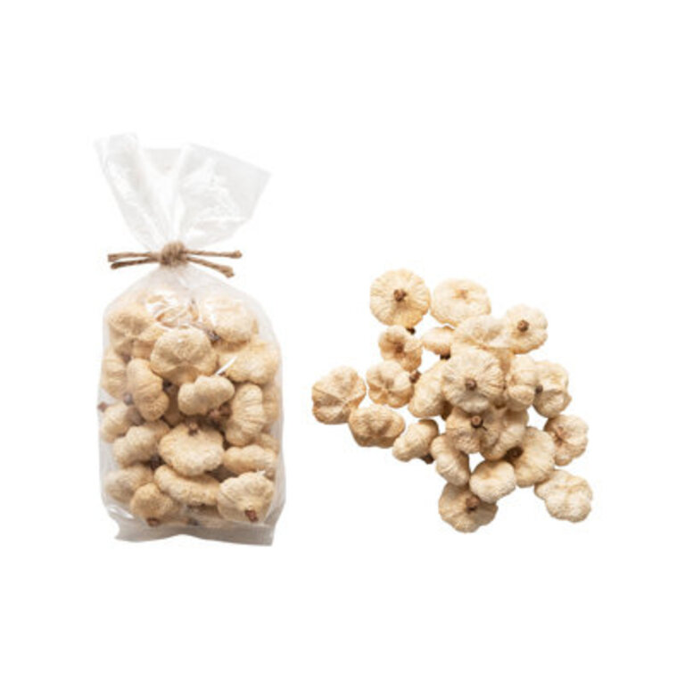 Dried Natural Peepal Pods in Bag Decorative Accent
