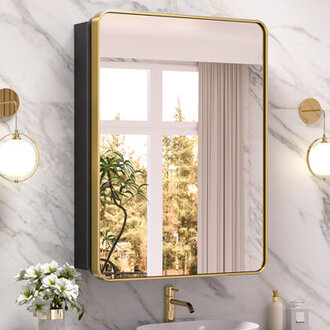 Gervon Rectangle Recessed Medicine Cabinet with Shelves