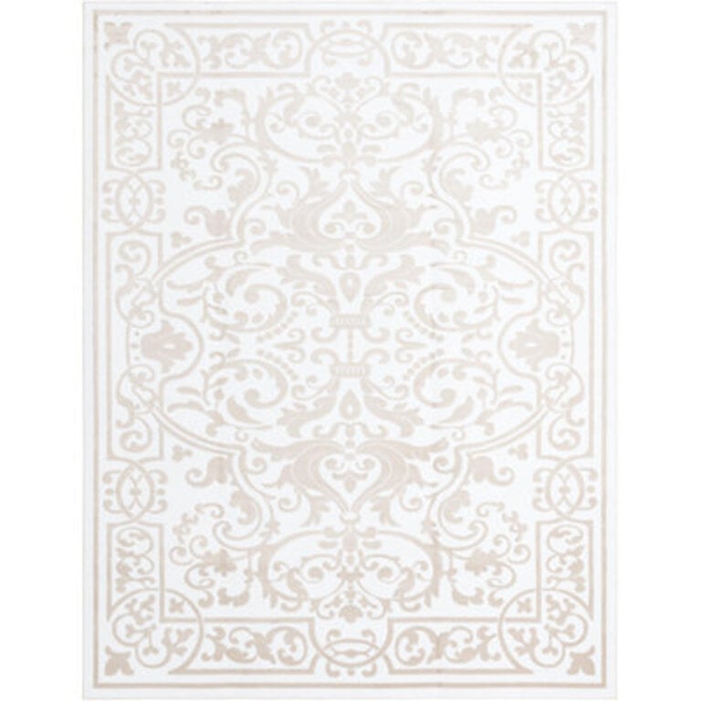 Airyana Oriental Indoor Rug