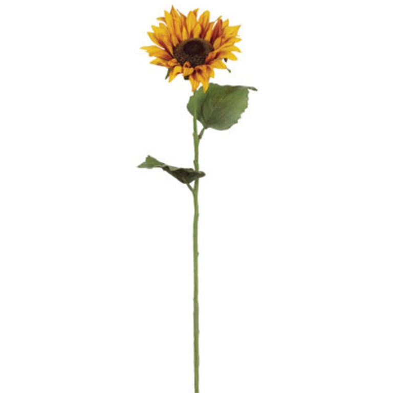 Kanode Sunflower Arrangement