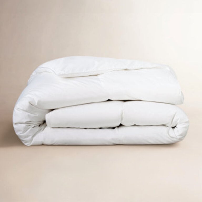 Terron Down All Season Duvet Insert