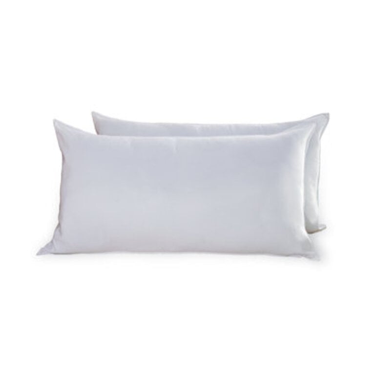 Wayfair Sleep Firm Support Pillow