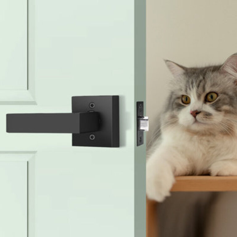 Passage Door Lever with Square Rosette Heavy Duty Solid Levers