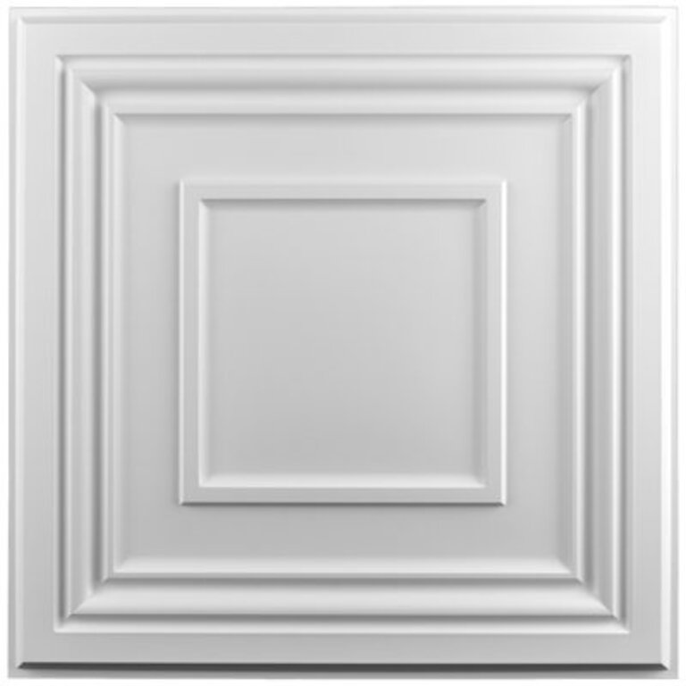 2 ft x 2 ft Drop-in PVC Ceiling Tile3D PVC Panels12-Pack48 sqft