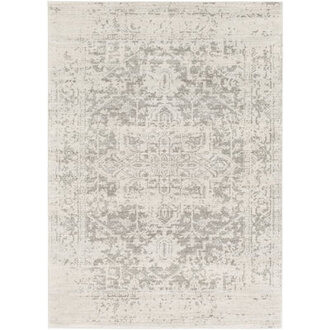Oriental Indoor Rug