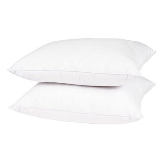 Wayfair Basics Didomenico Pillow Insert