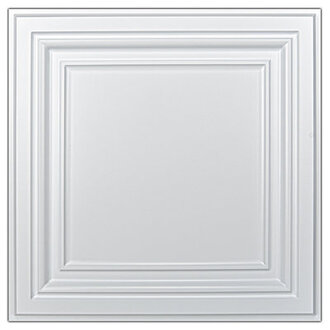2 Ft X 2 Ft Glue-Up or Drop-in PVC Ceiling Tile