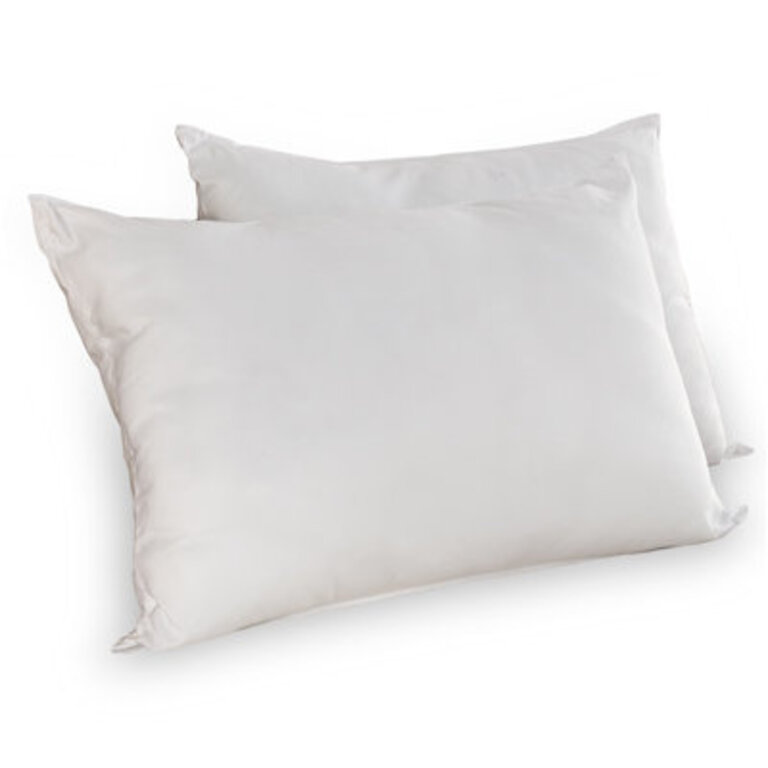Set of 2 Wayfair Sleep Polyester Plush Pillows