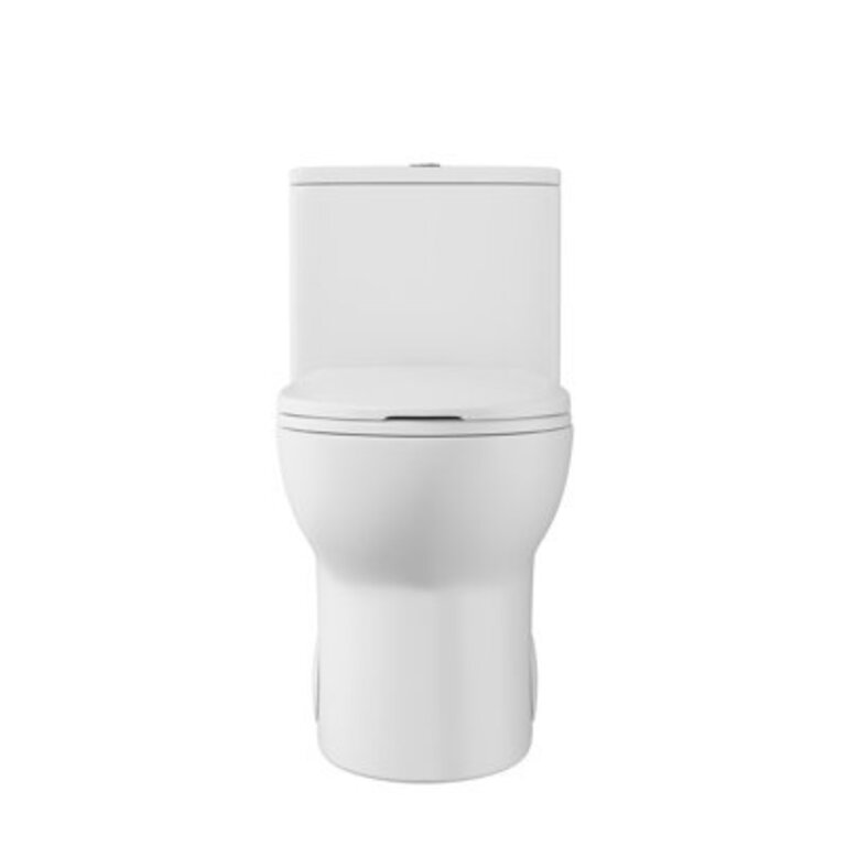 Ally Dual-Flush Elongated One-Piece Toilet with Glazed Surface Modern Toilet with Comfort Seat Height  Seat Included