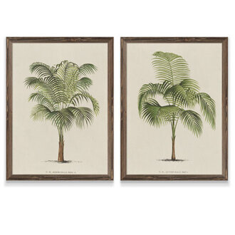 Les Palmiers I - Wall Art