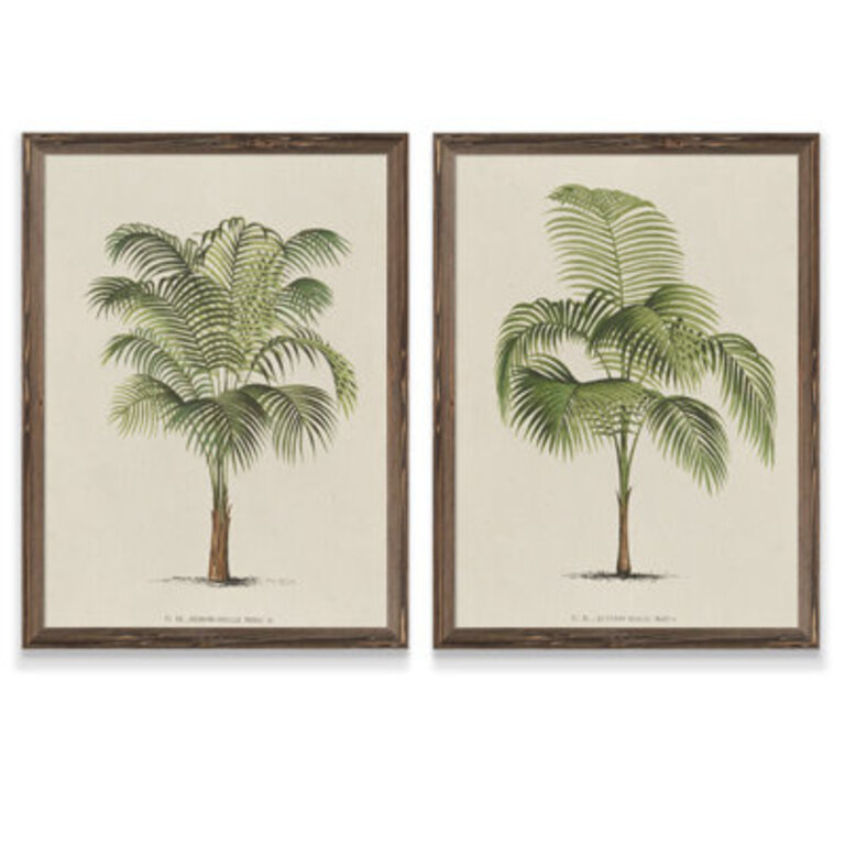 Les Palmiers I - Wall Art