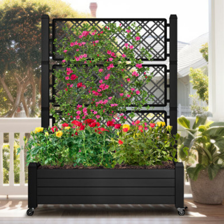 Alajandro 433 W x  61H Resin Raised Garden Bed