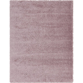 Indoor Rug