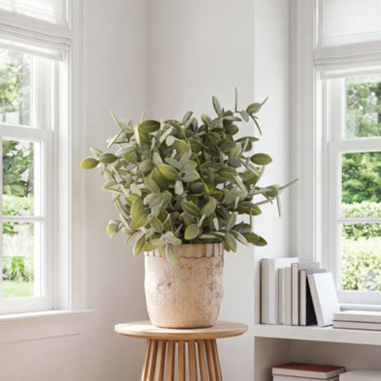 115 Faux Eucalyptus Plant in Ceramic Pot