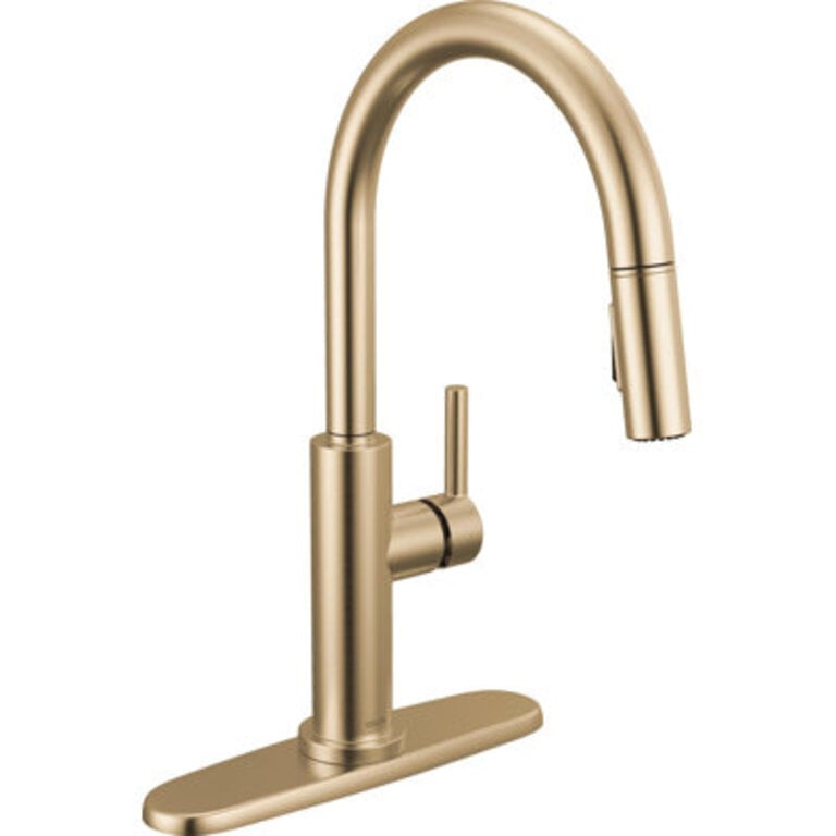 Nicoli Pull Down Sprayer Kitchen Sink Faucet