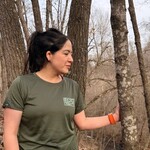 storm creek 2026 Brown's Creek Breeze t-shirts