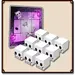 PHASE SHIFT GAMES Dungeon Drop: Skeleton Skulls