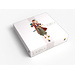 Funforge Tokaido Deluxe Edition