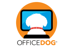 Office Dog