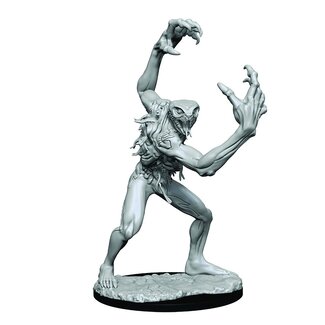 WizKids Critical Role Unpainted Miniatures: W1 Aeorian Nullifier