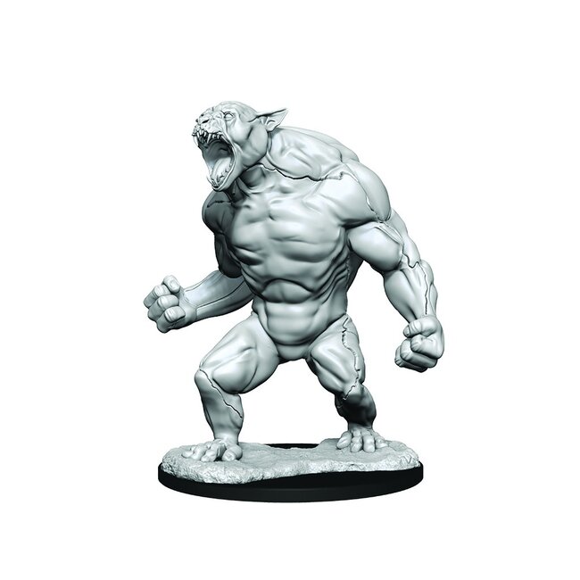 Critical Role Unpainted Miniatures: W1 Aeorian Reverser
