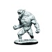 WizKids Critical Role Unpainted Miniatures: W1 Aeorian Reverser